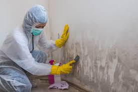 Best Mold Odor Removal Services  in Oak Grove, AL